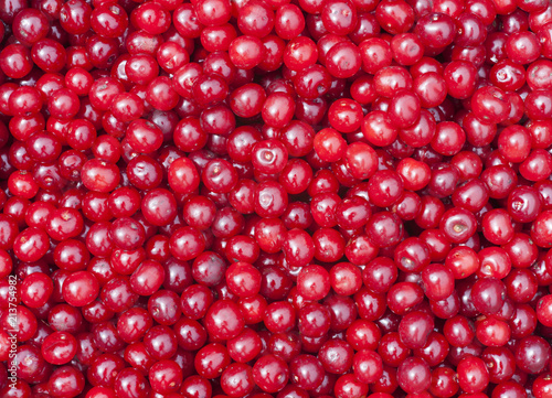 texture of many cherry fruit from the garden