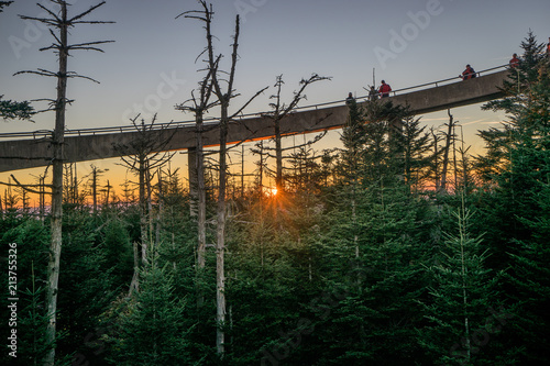 Great Smoky Mountains National Park View At Clingmans Dome Observation Tower, North Carolina. photo