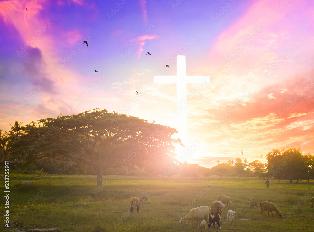 Jesus christ mercy at cross on mountain sunset background He belief to
