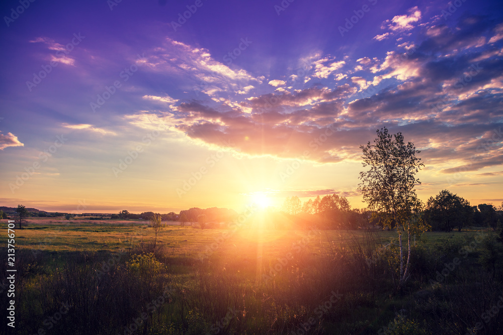 Fototapeta premium Rural evening landscape. Sunset with beautiful sky over the meadow