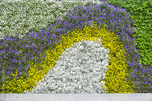 Flower plant wall photo