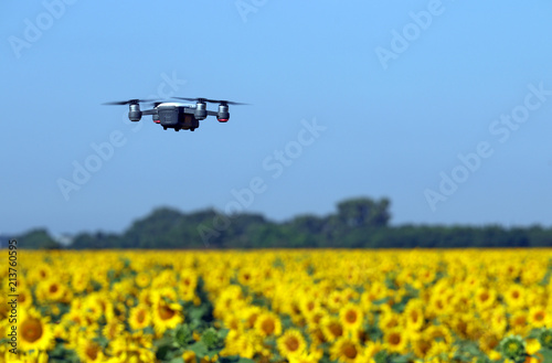 The drone is flying over the sunflower field summer season