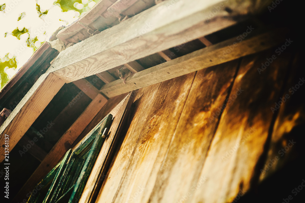 Fototapeta premium Little Mouse in Wooden House