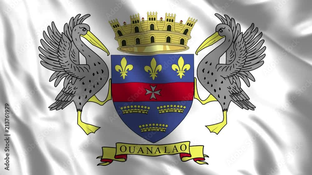 Vidéo Stock Saint Barthelemy Flag - Realistic 4K - 60 fps flag of the