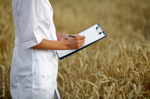 Agronomist or a student with document in her hand in the wheat field