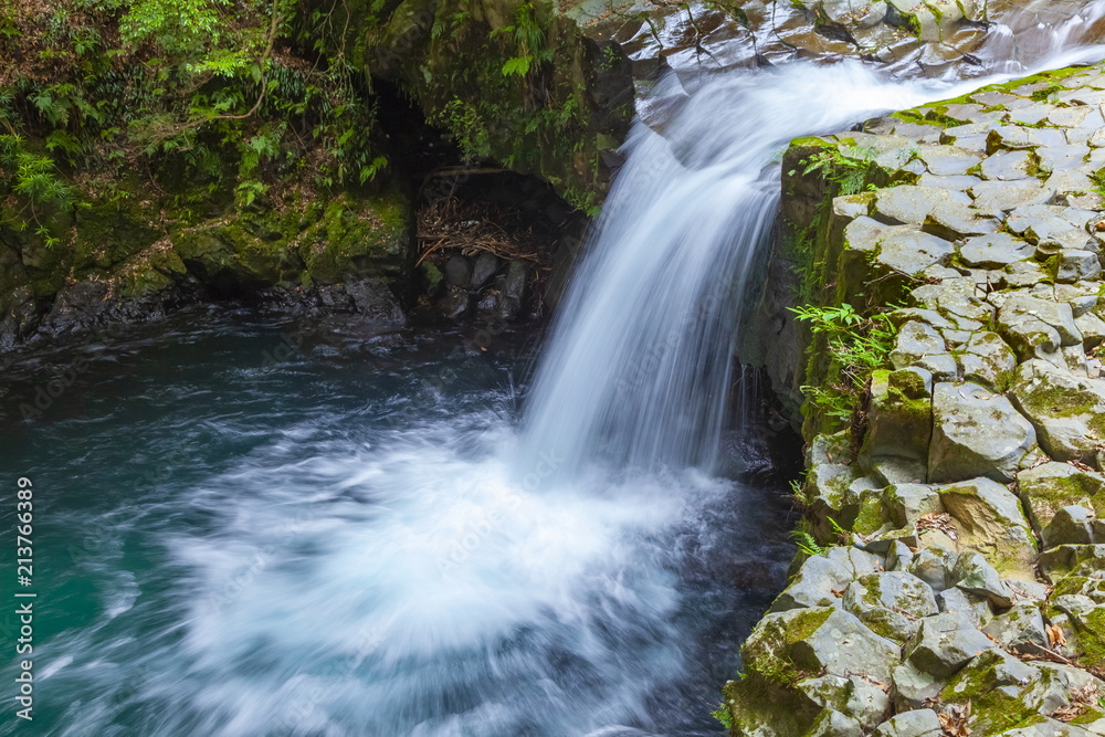 Fototapeta premium 河津七滝の蛇滝、静岡県賀茂郡河津町にて