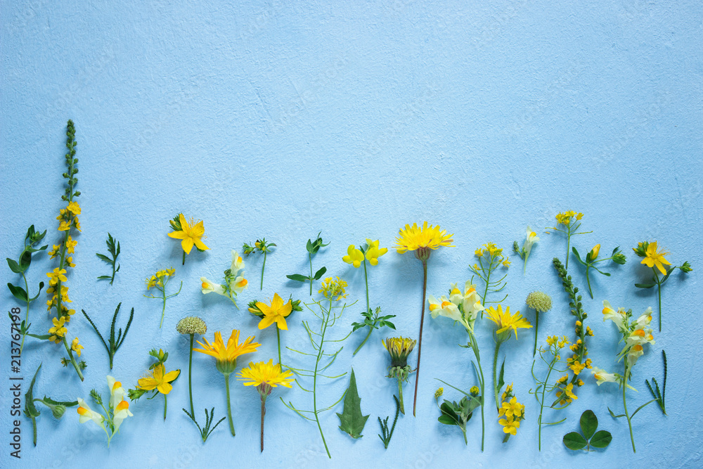Composition from various wildflowers on a light blue background.