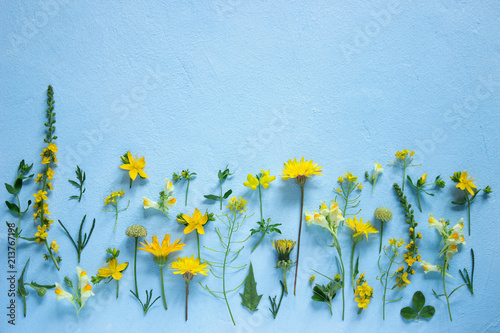 Obraz na płótnie Composition from various wildflowers on a light blue background. w salonie