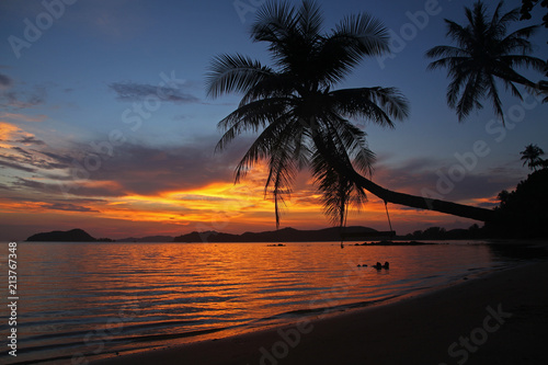 swing or cradle hang on the coconut tree shadow beautiful sunset at koh Mak Island beach Trad Thailand