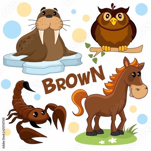 A set of brown, cartoon pictures with birds, insects and animals for children and design, a walrus on an ice floe, a horse, an owl sits on a branch and a scorpion.