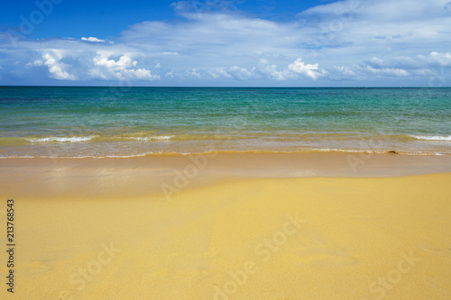 sea surf on the beach