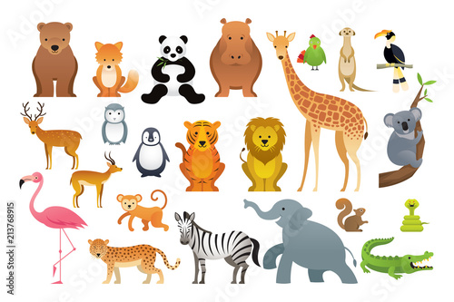 Wild Animals Vector Set, Zoo, Safari, Front view and Side View