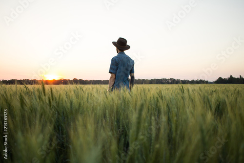 YOung male farmer stand alone in wheat field during sunset 