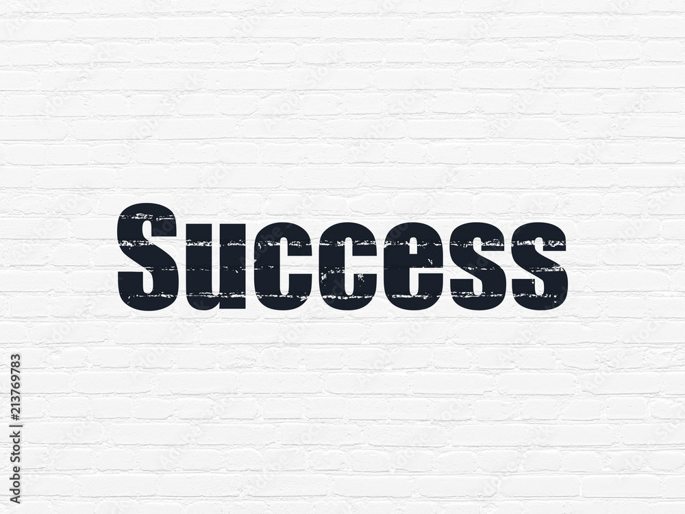 Finance concept: Painted black text Success on White Brick wall background Finance concept: Painted black text Success on White Brick wall background