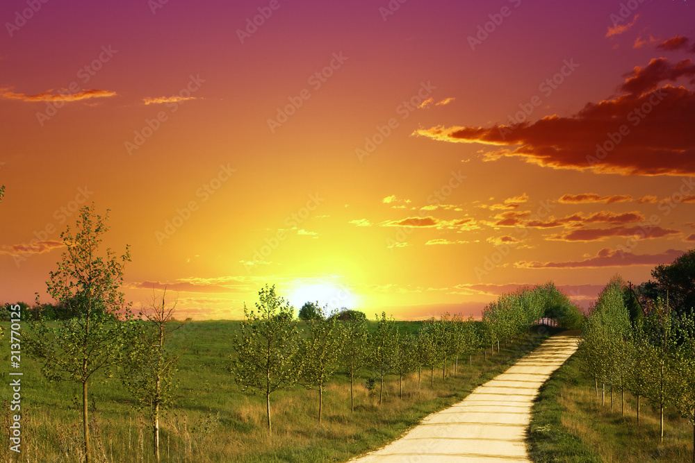 Beautiful yellow sand lane in countryside, green meadow on red sunset sky with clouds