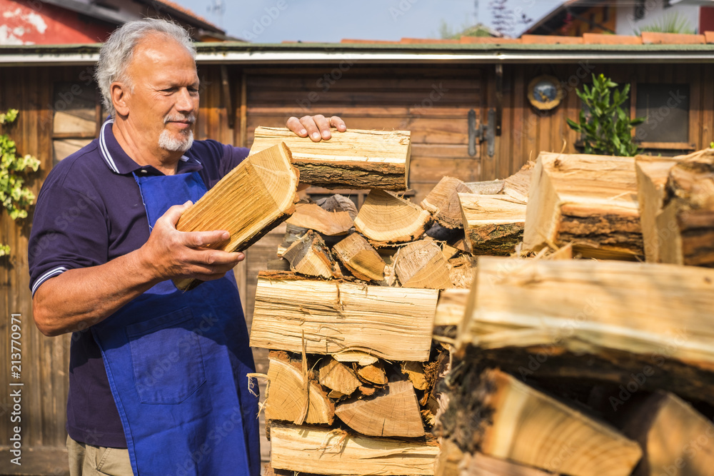 adult senior aged man put and check the wood to heat the home in the winter. outdoor home activity during the summer, cheap way to produce warm and energy instead of expensive gas and electricity. 