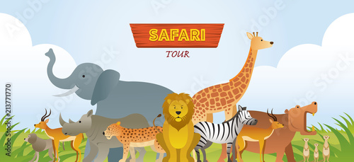 Photography Group of African Safari Animals