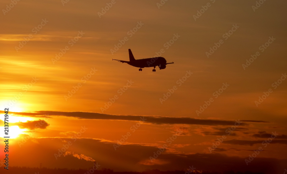 The airplane on a background of the sky landing over the forest at sunset