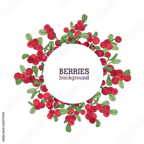 Round natural backdrop or wreath made of lingonberries hand drawn on white background