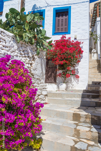 Street view of Ano Syros with colorful bougainvillea tree and traditional houses in Syros island, Greece