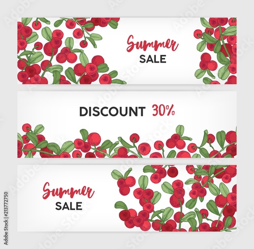 Collection of horizontal banner templates with lingonberries hand drawn on wh...