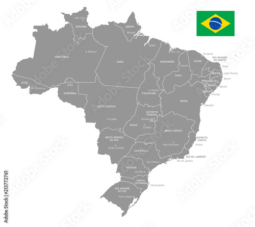 Grey Vector Political Map of Brazil