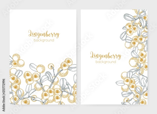 Set of flyer or poster templates decorated with lingonberries hand drawn with...