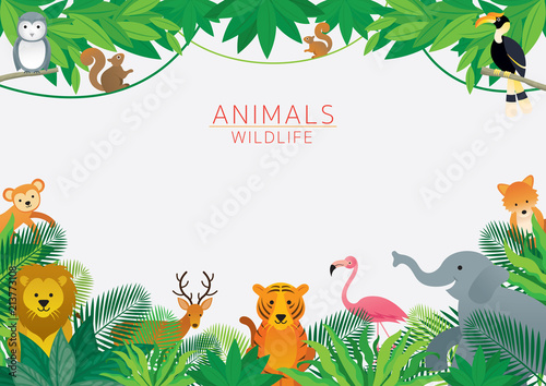 Wild Animals in Jungle, Frame, Kids and Cute Cartoon Style photo