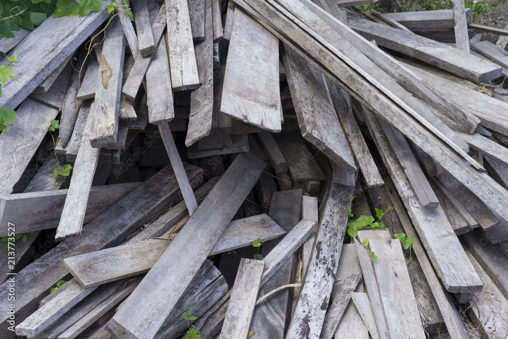 picture of chips and other debris from a broken tree trunk. Small depth of field Chipped fire woods. picture of chips and other debris from a broken tree trunk. Small depth of field Chipped fire woods.