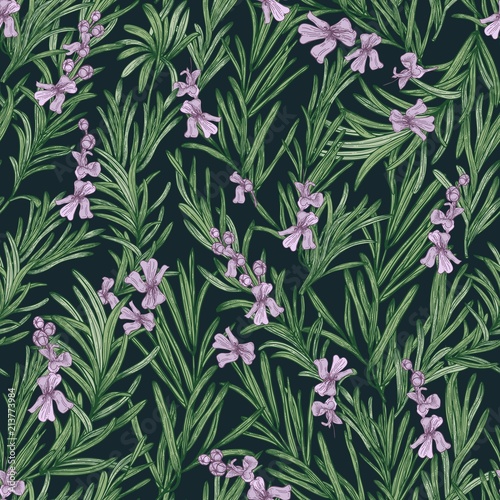 Floral seamless pattern with blooming rosemary on black background. Backdrop with wild aromatic herb. Botanical vector illustration in antique style for wrapping paper, textile print, wallpaper.