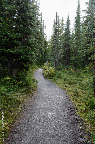 Canadian Forest Footpath