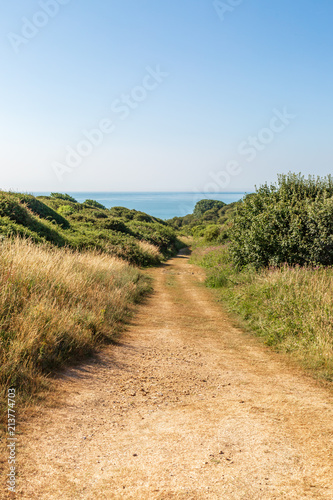A pathway leading to the coast, on a sunny summer's morning
