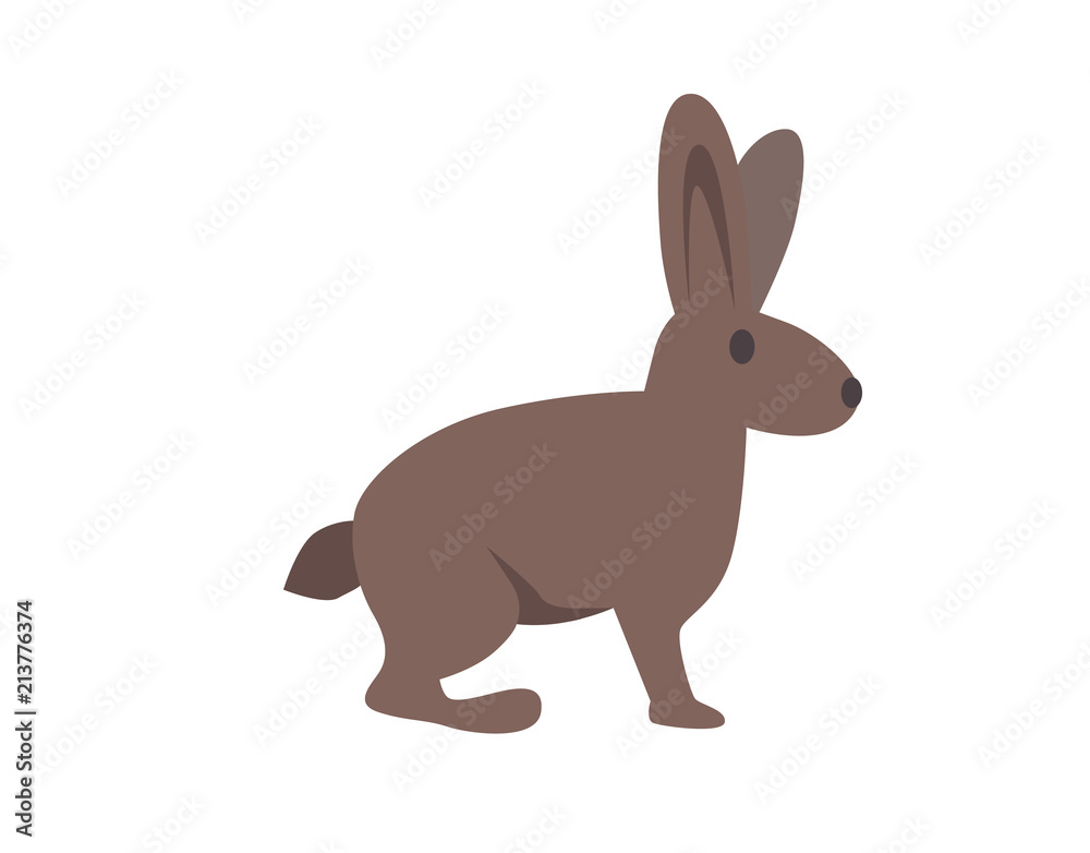 Hare, rabbit. Flat vector illustration. Isolated on white background Hare, rabbit. Flat vector illustration. Isolated on white background