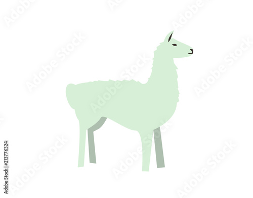 Funny alpaca  lama. Flat vector illustration. Isolated on white background