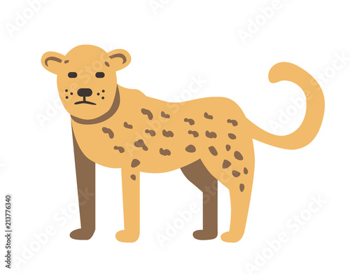 Cheetah, guepard. Flat vector illustration. Isolated on white background