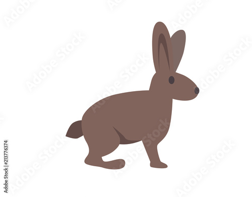 Hare, rabbit. Flat vector illustration. Isolated on white background © Tatyana