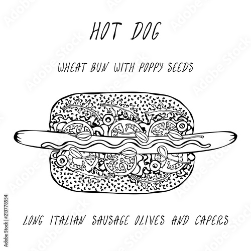 Hot Dog on a Bun with Poppy Seeds. Long Italian Sausage, Olives, Capers, Rocket, Lettuce Salad. Fast Food Collection. Realistic Hand Drawn High Quality Vector Illustration. Doodle Style.
