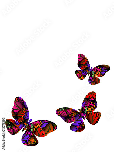 Watercolor effect butterflies on white background.