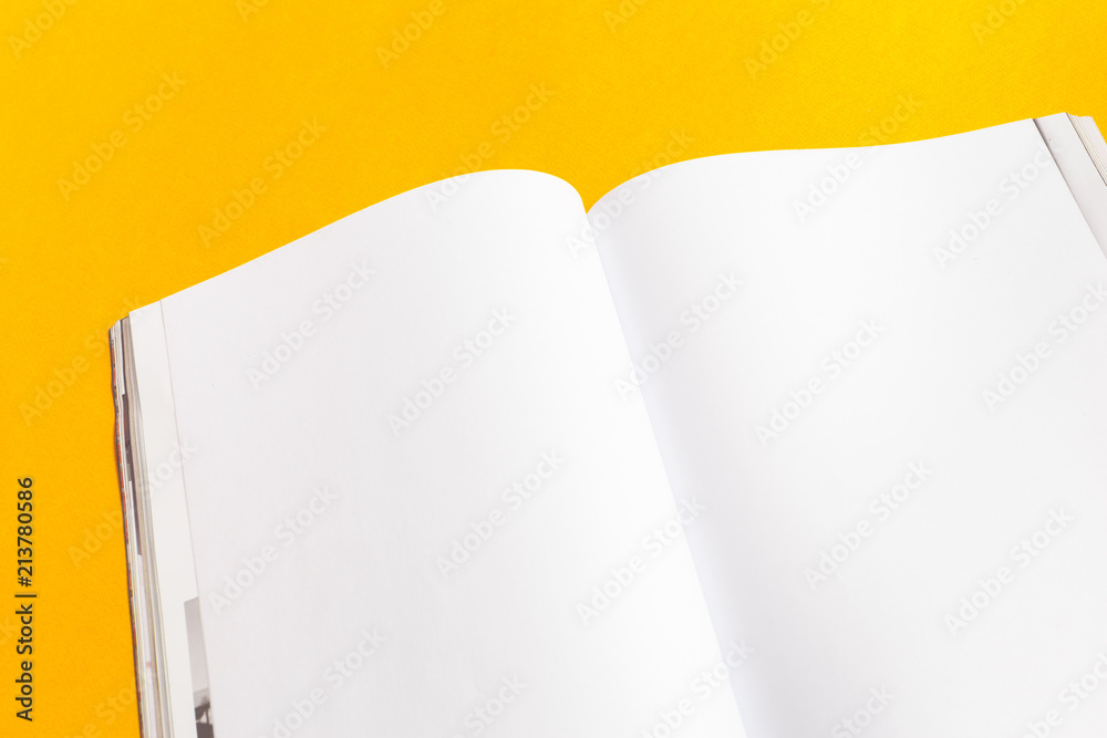 magazine or catalog magazine or catalog