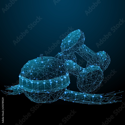 Abstract image of a Diet and weight and exercise in the form of a starry sky or space, consisting of points, lines, and shapes in the form of planets, stars and the universe. Vector wireframe concept