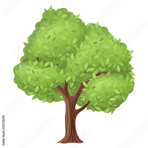 Tree illustration with green leaf. Vector illustration, isolated on white for eco, nature and fresh design
