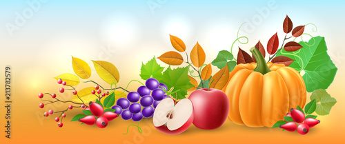 Harvest horizontal banner with fruit, berry, pumpkin, apple, leaf and grapes. Realistic vector illustration with wealth of autumn, color of fall for banner design