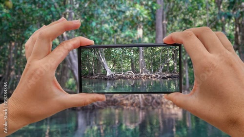 Cinemagraph of Taking Photo of Emerald Pool and Mangrove Forest Pa Phru Tha Pom Khlong Song Nam in Krabi Province, Thailand photo