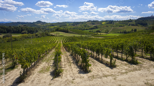 Wine vineyard in San Gimignano, Tuscany on a sunny afternoon