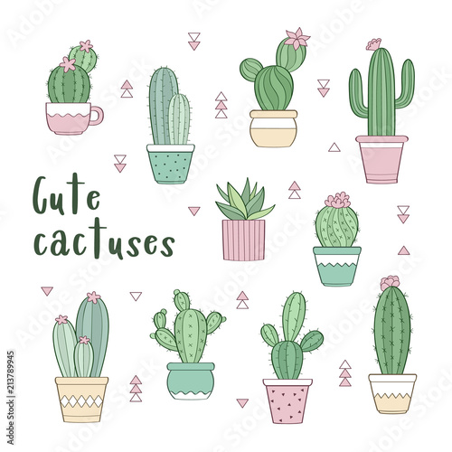 Vector set of various hand drawn outline cactuses in flowerpots. Cute hand drawn colored cactus print isolated on white background
