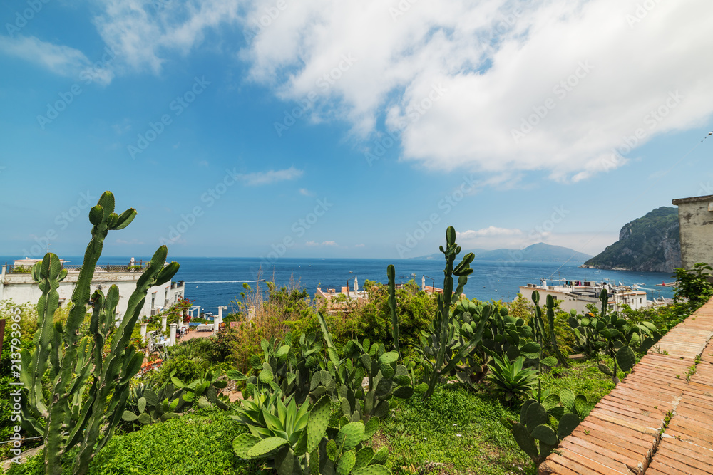 Beautiful coast in world famous Capri island