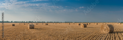 Fototapete Agricultural landscape with haystacks