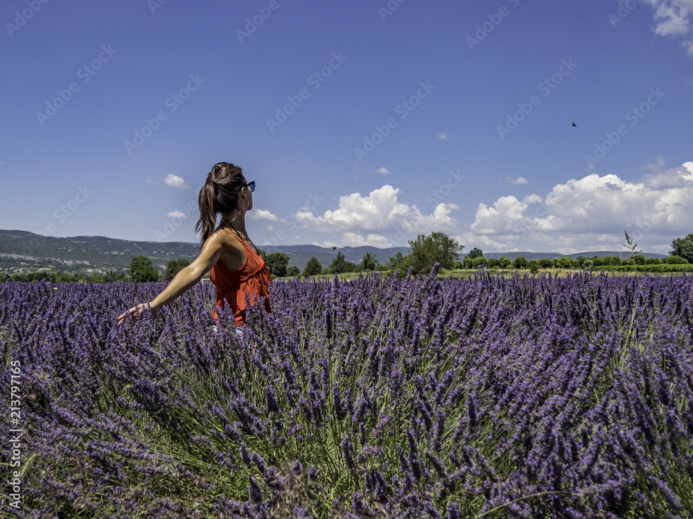 Fototapeta premium Asian woman solo traveller enjoying the full blooming of lavender field in Provence, France