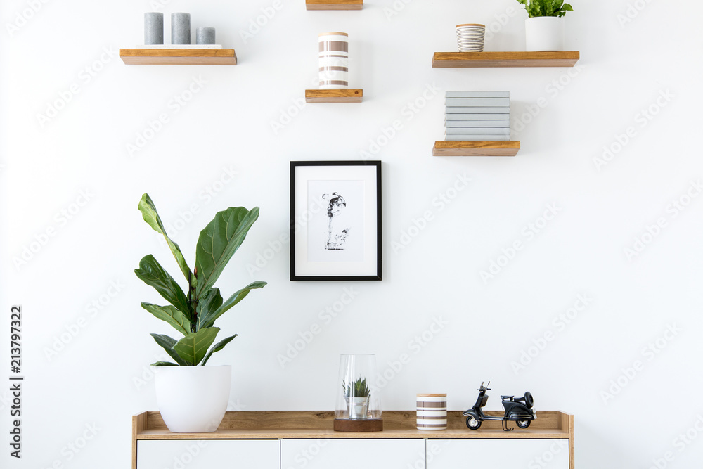 Plant on wooden cupboard in minimal flat interior with poster and shelves on white wall. Real photo - obrazy, fototapety, plakaty 