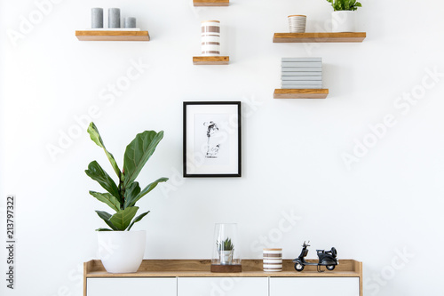 Plant on wooden cupboard in minimal flat interior with poster and shelves on white wall. Real photo photo